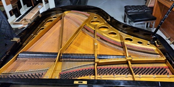 Bosendorfer 170 Grand piano detail photo 9 - Roberts Pianos