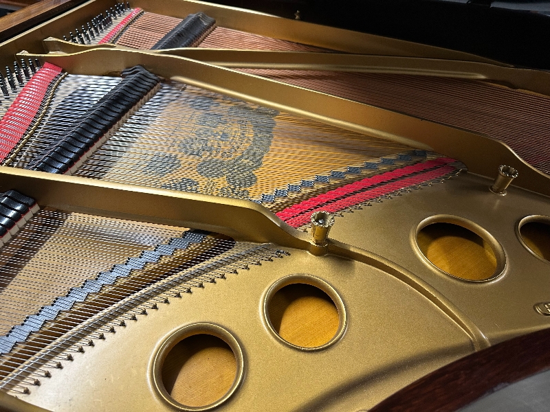 Piano Detail Photo 11