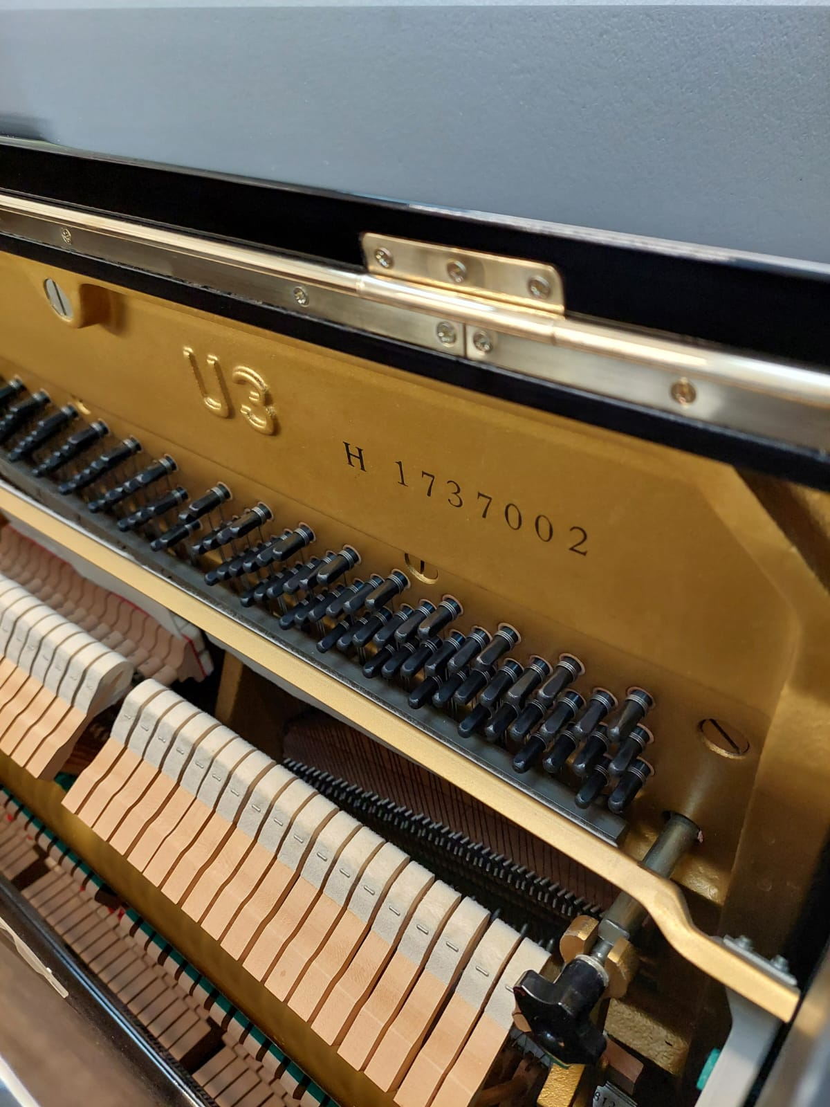 Piano Detail Photo 3