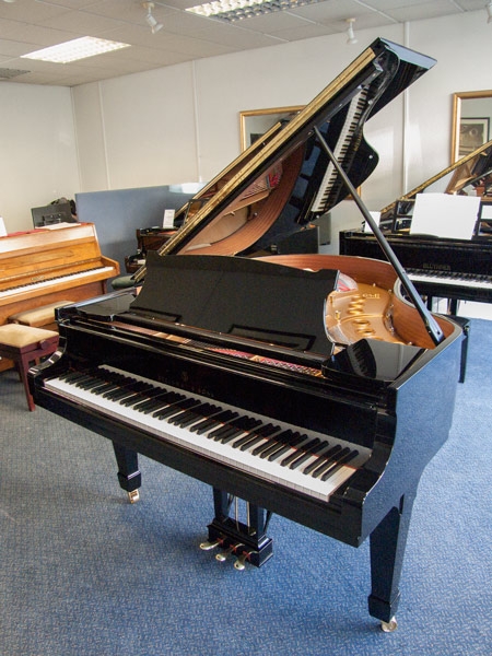 Steinway M