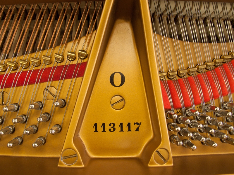 Piano Detail Photo 12