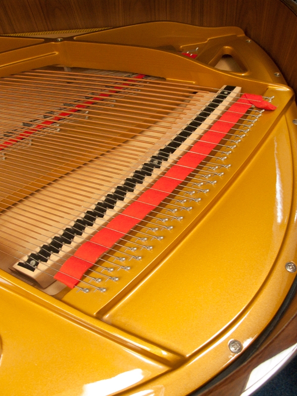 Petrof 172 Grand piano detail photo 9 - Roberts Pianos