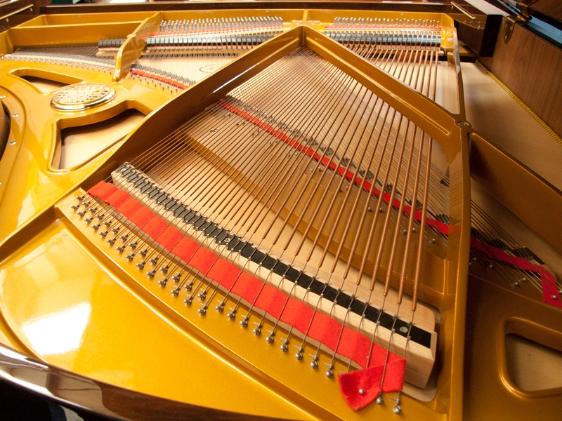 Petrof 172 Grand piano detail photo 6 - Roberts Pianos