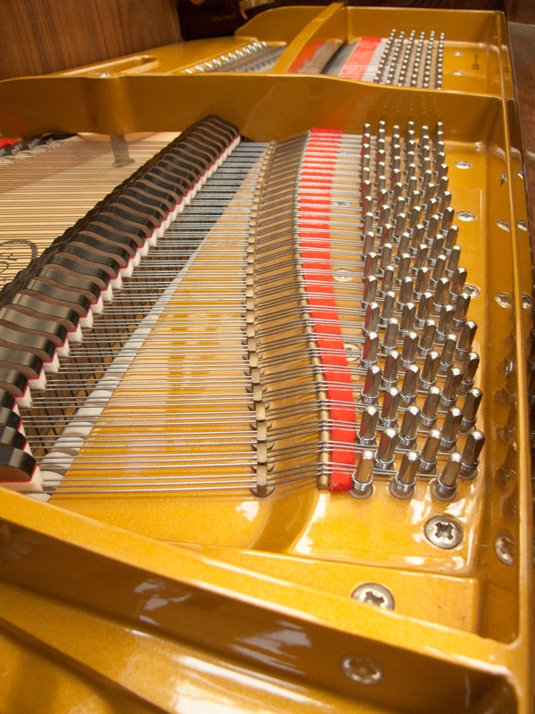 Petrof 172 Grand piano detail photo 10 - Roberts Pianos