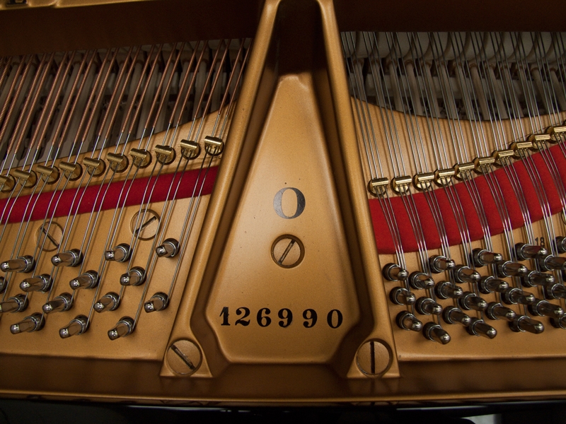Piano Detail Photo 10