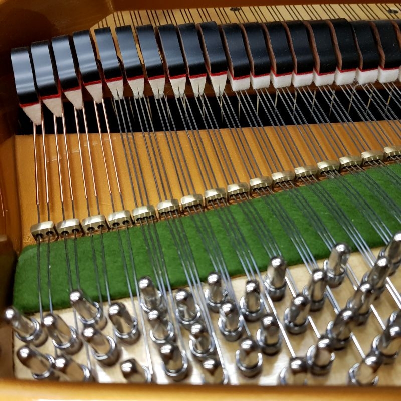 Bechstein S baby Grand piano detail photo 7 - Roberts Pianos