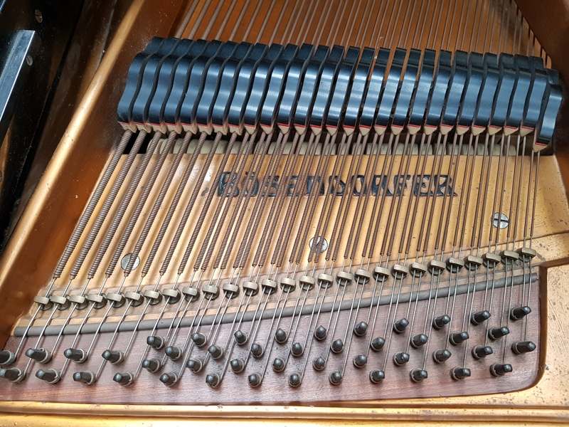 Bosendorfer 170 Grand piano detail photo 4 - Roberts Pianos