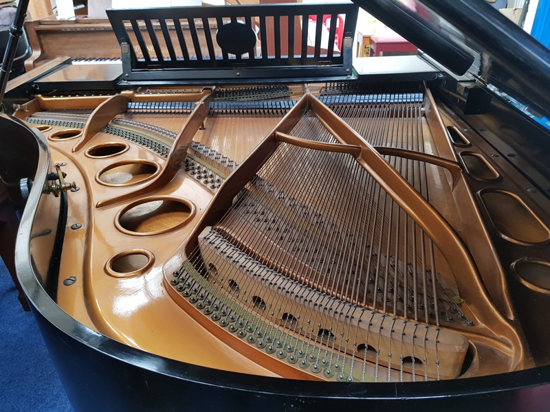 Bosendorfer 170 Grand piano detail photo 2 - Roberts Pianos