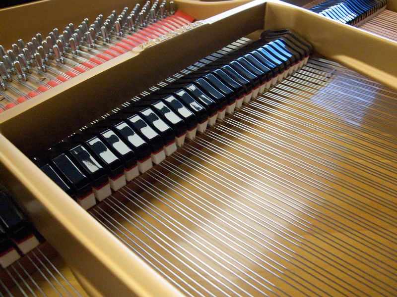 Piano Detail Photo 8