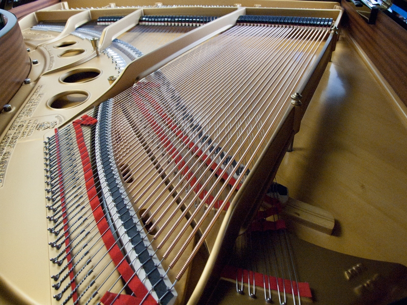 Piano Detail Photo 5