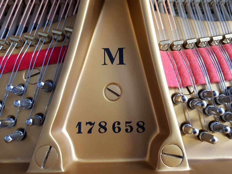 Piano Detail Photo 11