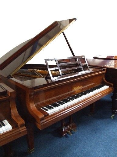 Main Piano Image