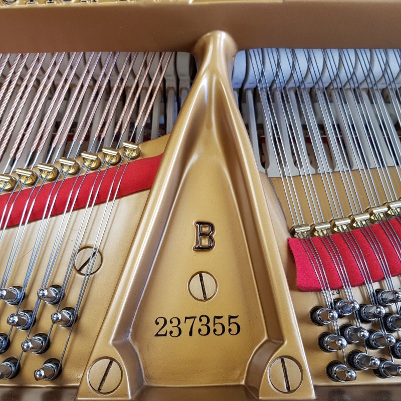 Piano Image