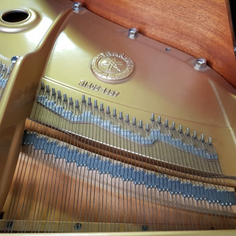 Yamaha C7 Grand piano detail photo 7 - Roberts Pianos