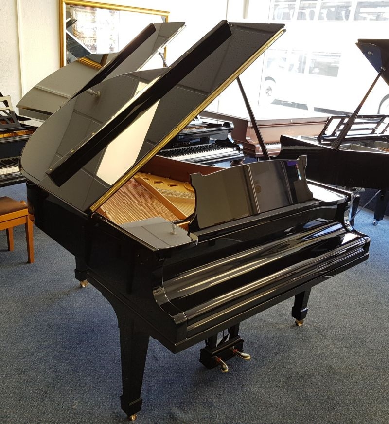 Piano Detail Photo 2