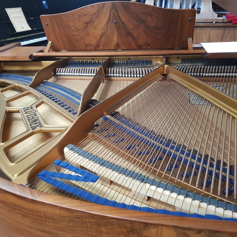 Bluthner IV Grand piano detail photo 6 - Roberts Pianos