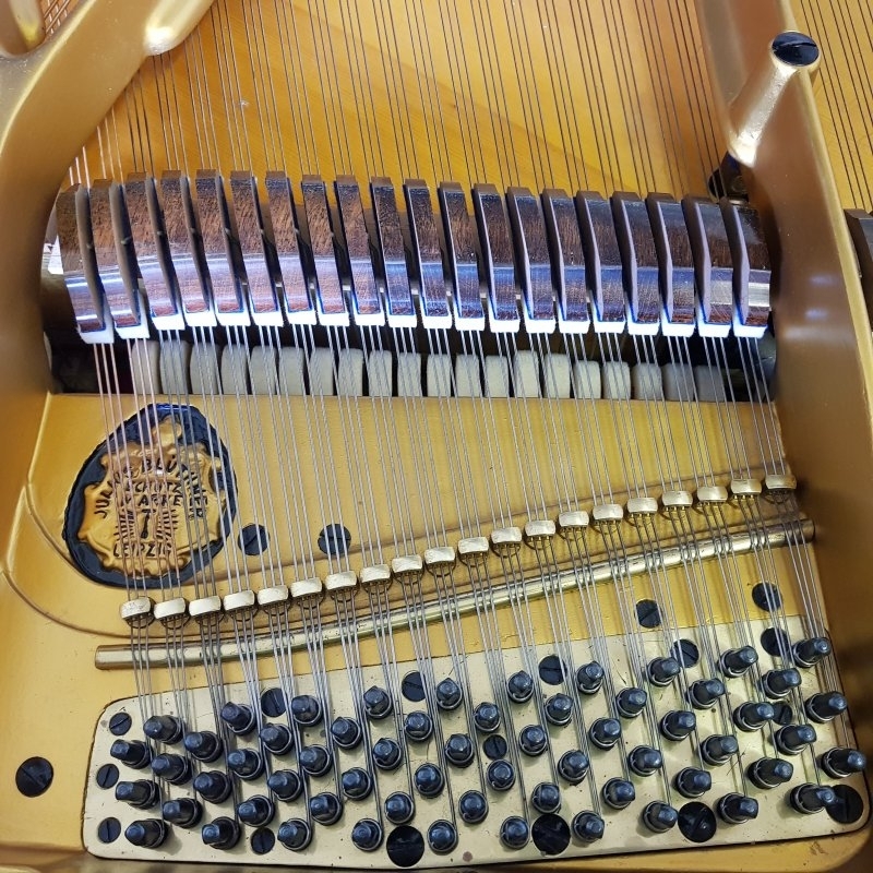 Piano Image