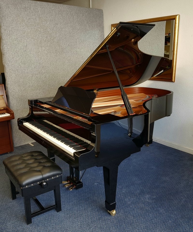 Piano Detail Photo 11