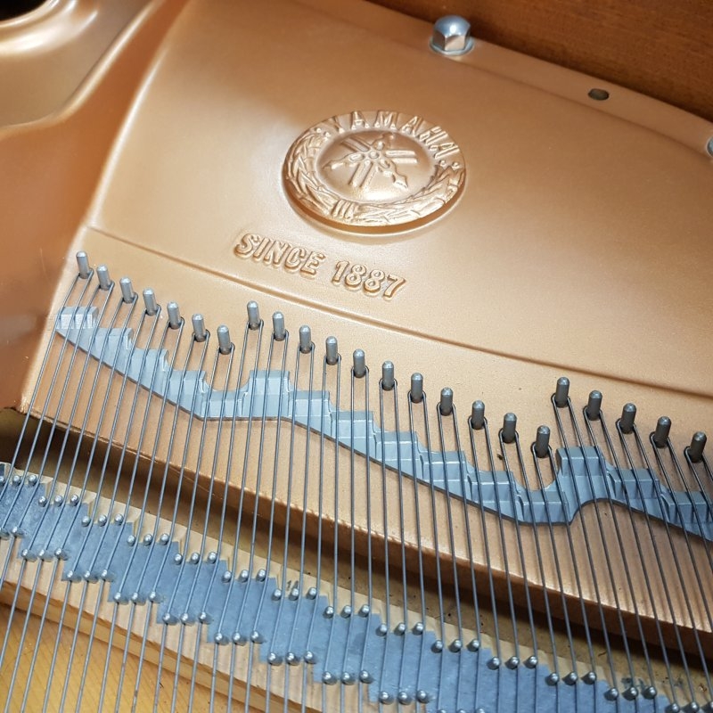 Piano Detail Photo 10