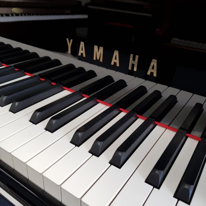 Piano Detail Photo 4