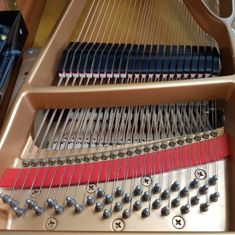 Piano Detail Photo 6