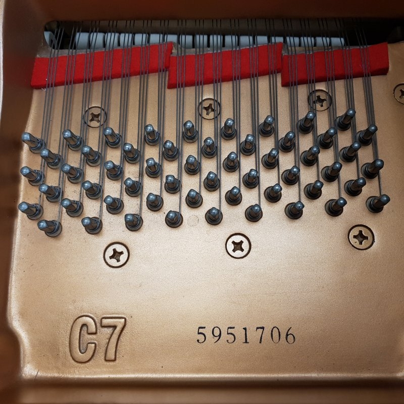 Piano Detail Photo 8