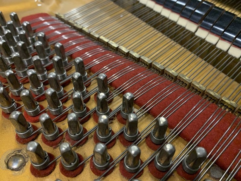 Broadwood Barless Grand piano detail photo 14 - Roberts Pianos