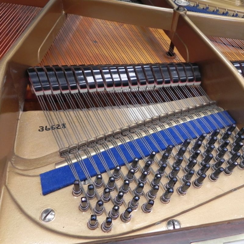 Piano Image