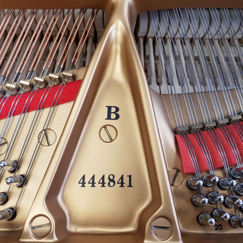 Piano Detail Photo 10