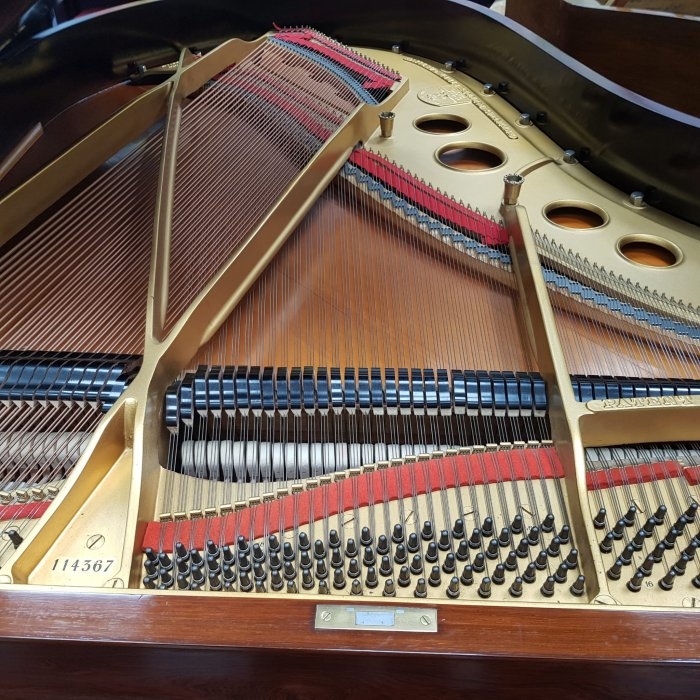 Piano Image