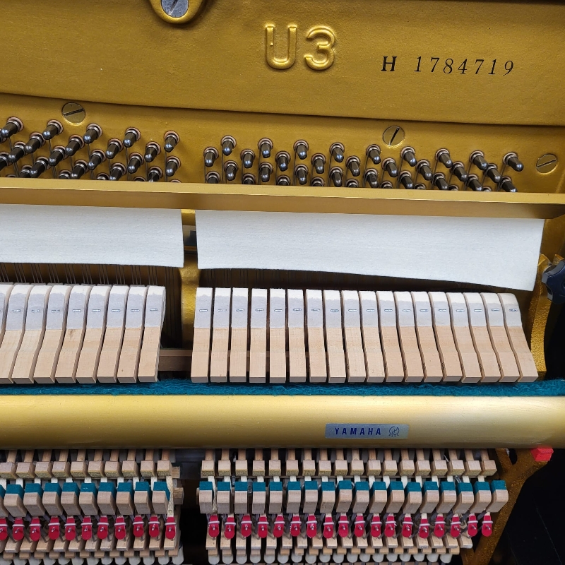 Piano Image