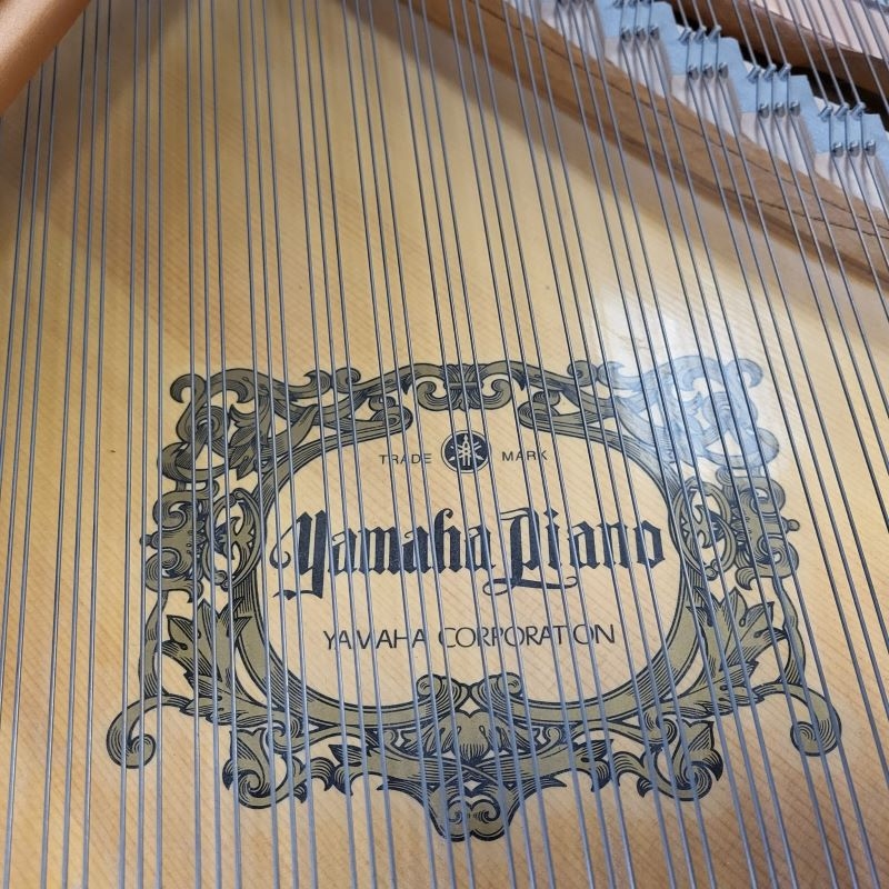 Piano Image