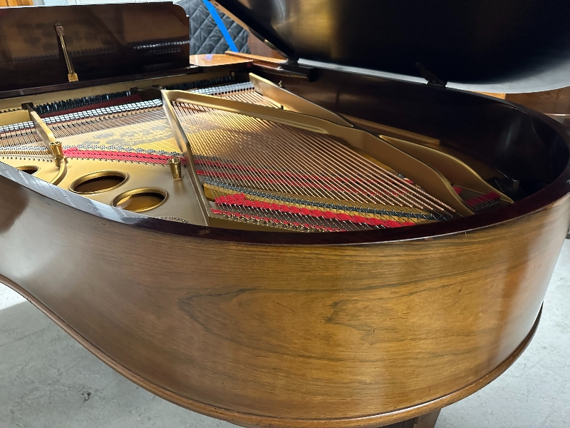 Piano Detail Photo 3