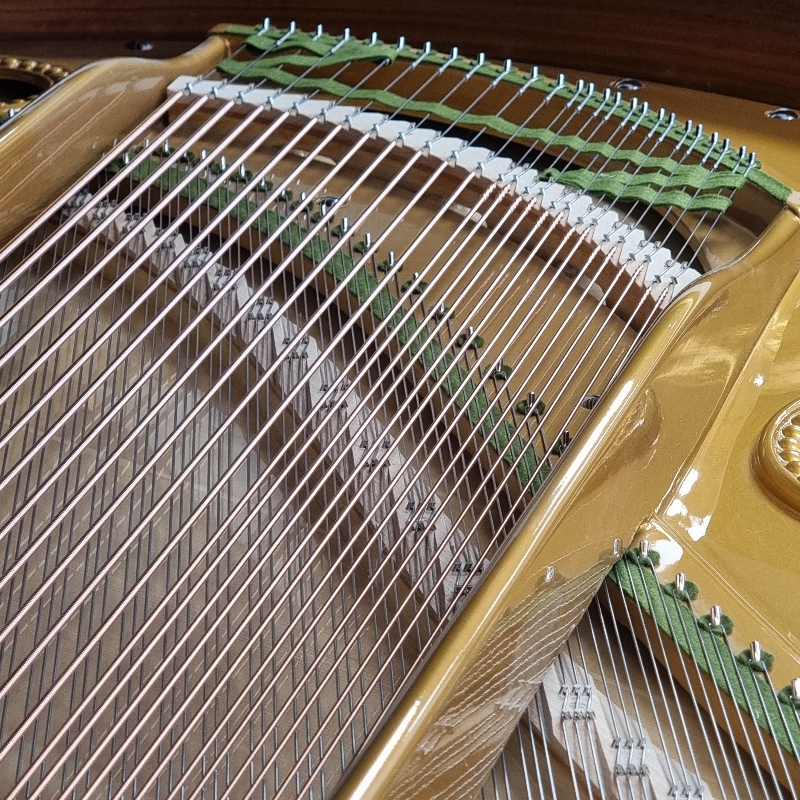 Piano Detail Photo 7