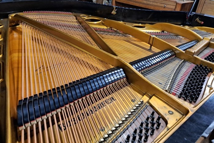 Bosendorfer 170 Grand piano detail photo 7 - Roberts Pianos