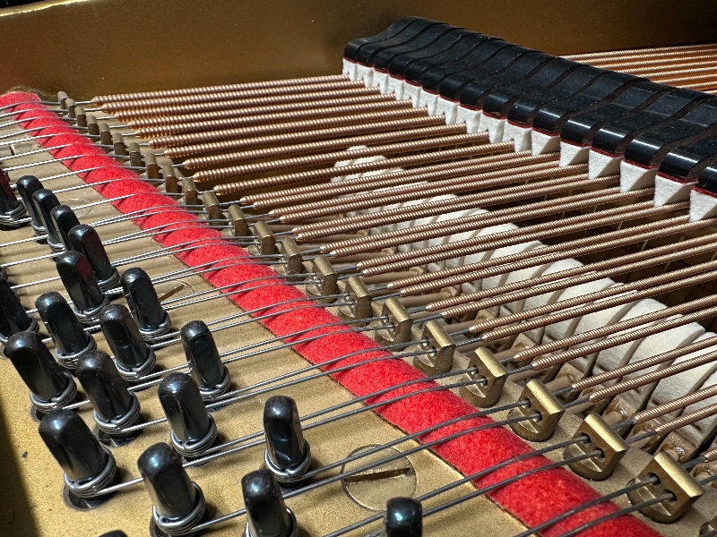 Piano Detail Photo 8