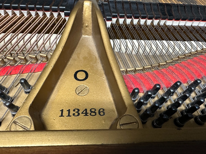 Piano Detail Photo 9