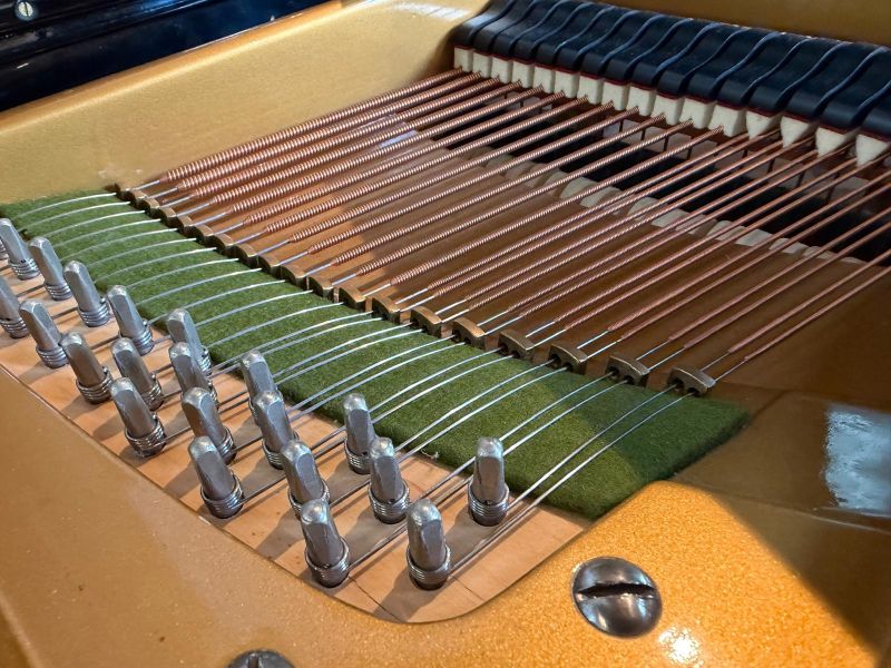 Bechstein III Grand piano detail photo 9 - Roberts Pianos