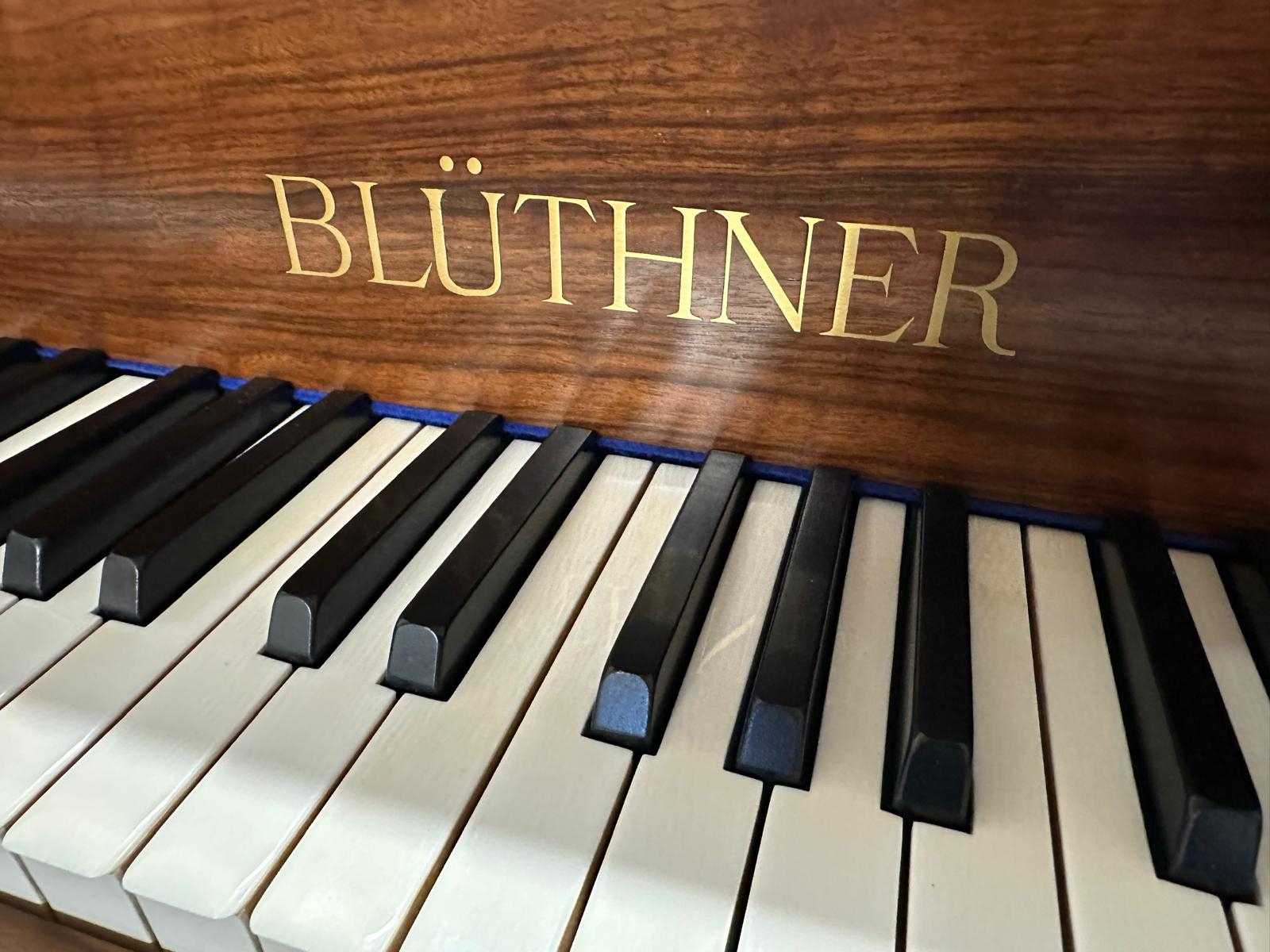 Piano Detail Photo 2