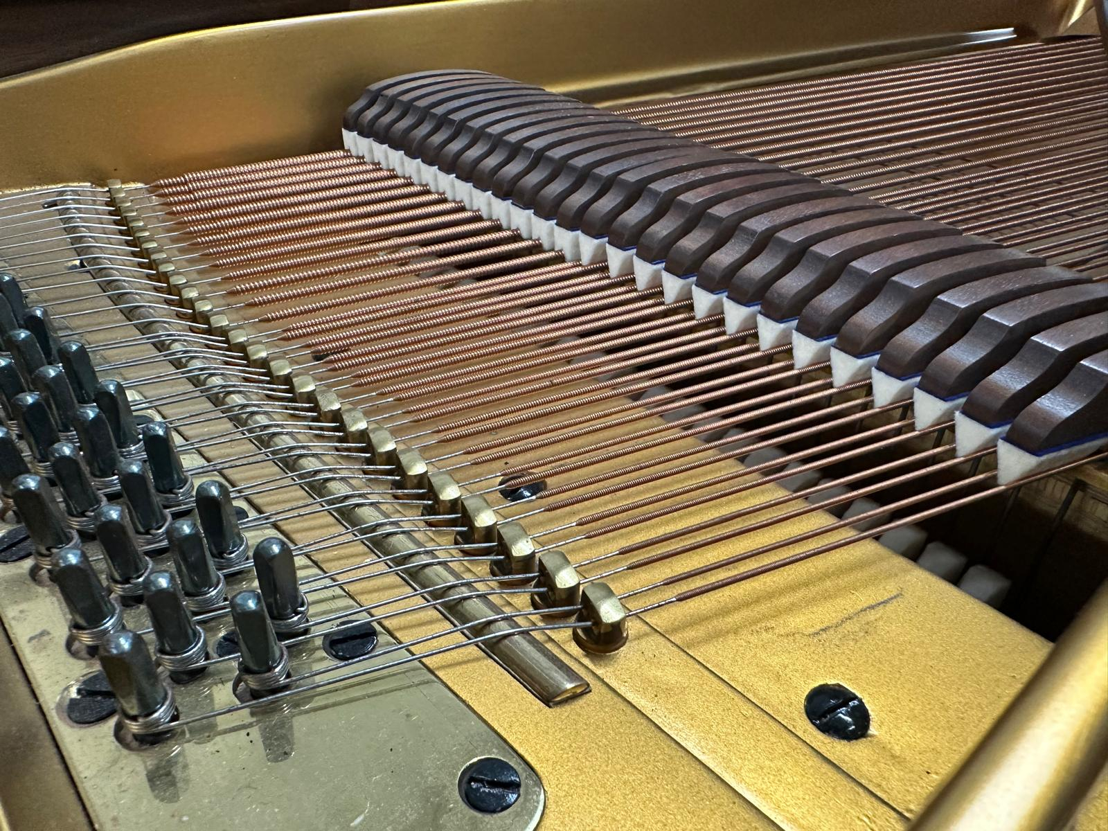 Piano Detail Photo 4