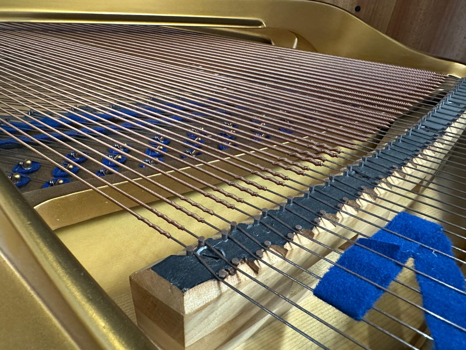 Piano Detail Photo 5