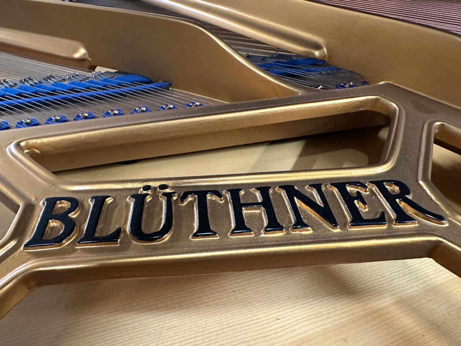 Piano Detail Photo 6