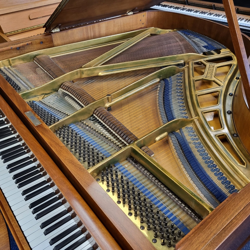 Piano Image