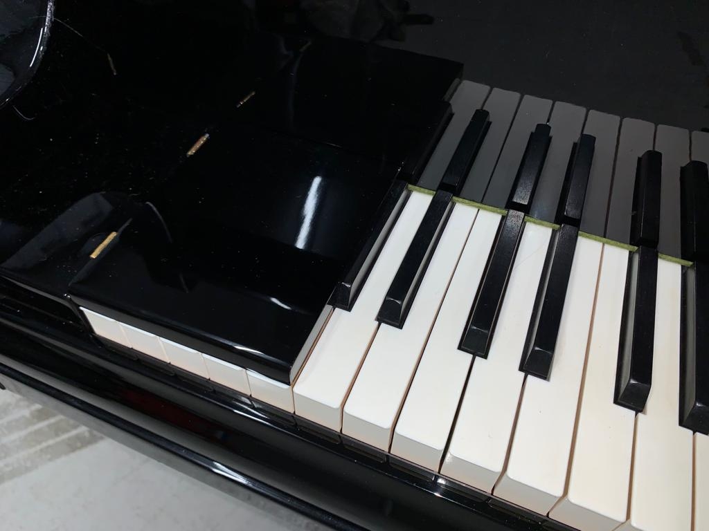 Piano Detail Photo 11