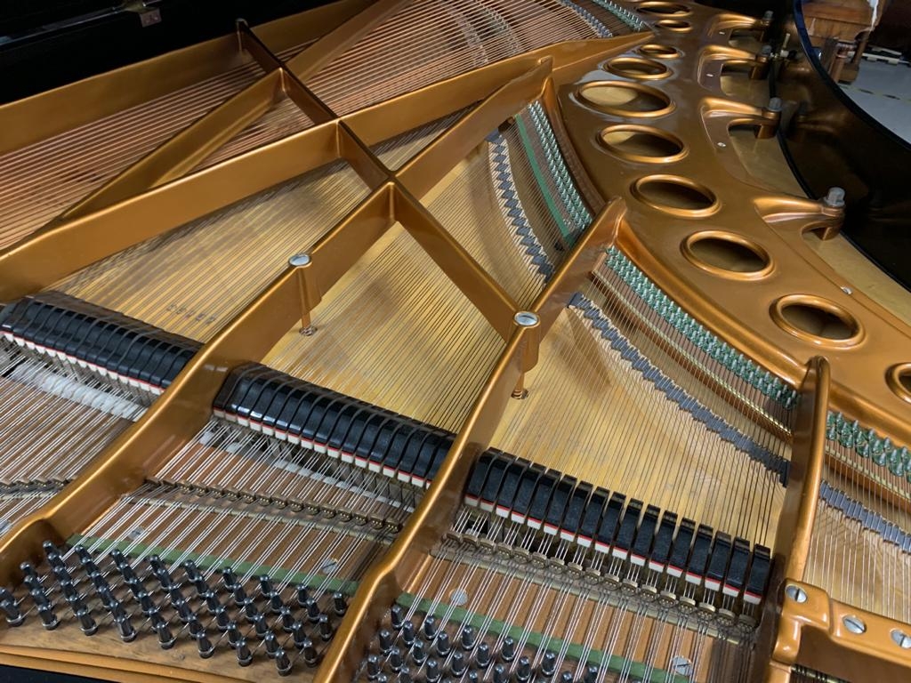 Piano Detail Photo 6