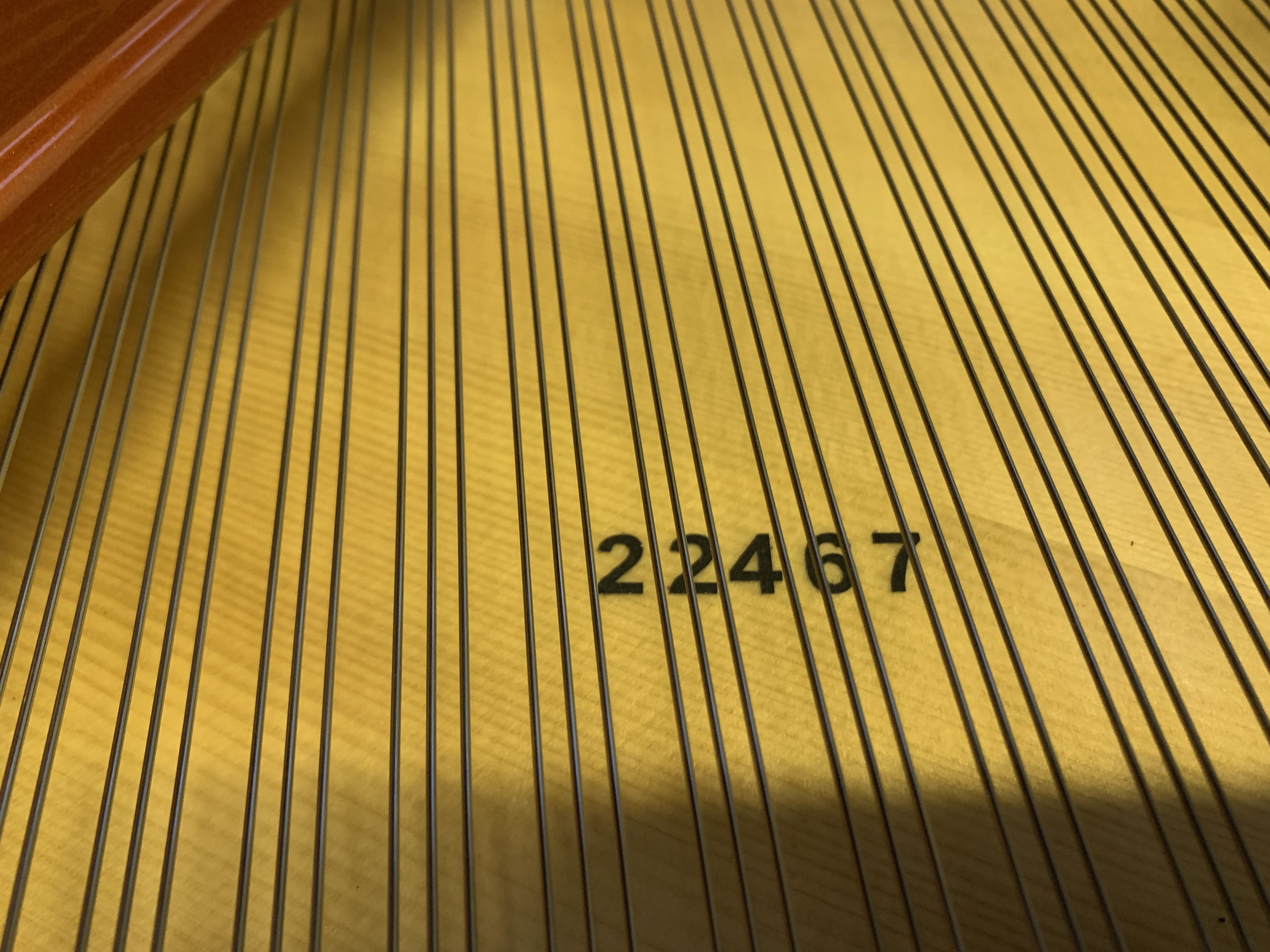Piano Detail Photo 11