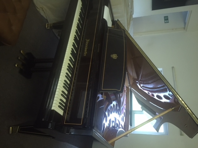 Piano Detail Photo 2