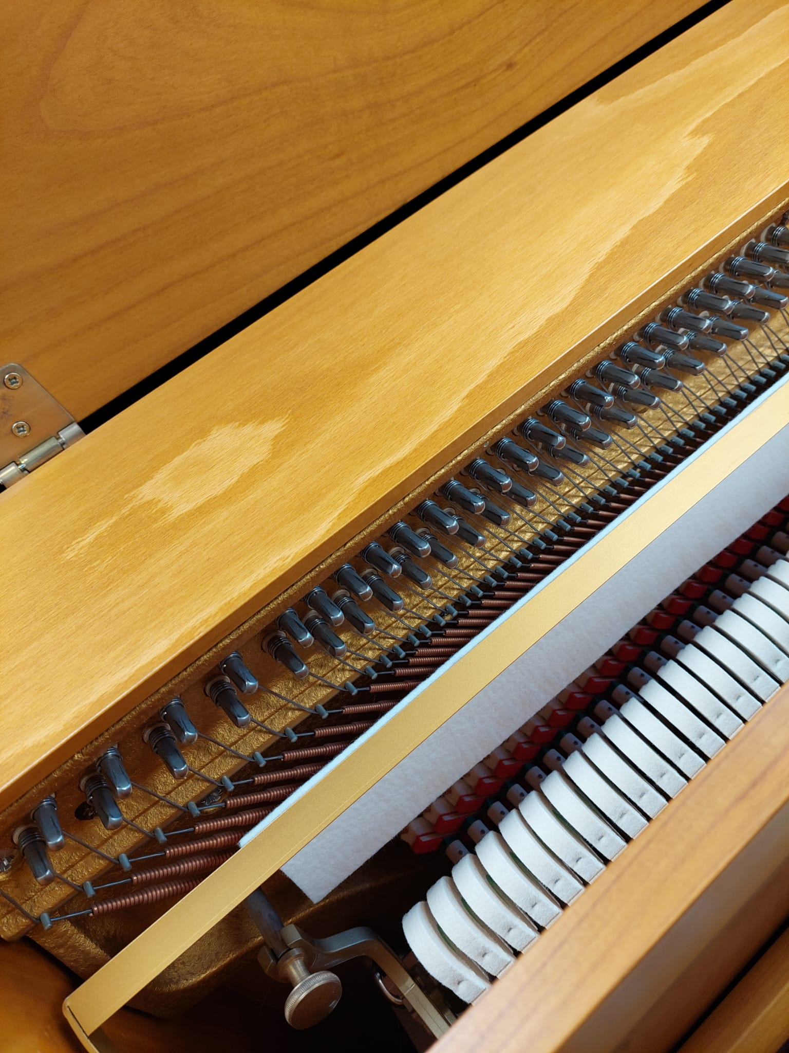 Haessler H118 Upright piano detail photo 2 - Roberts Pianos