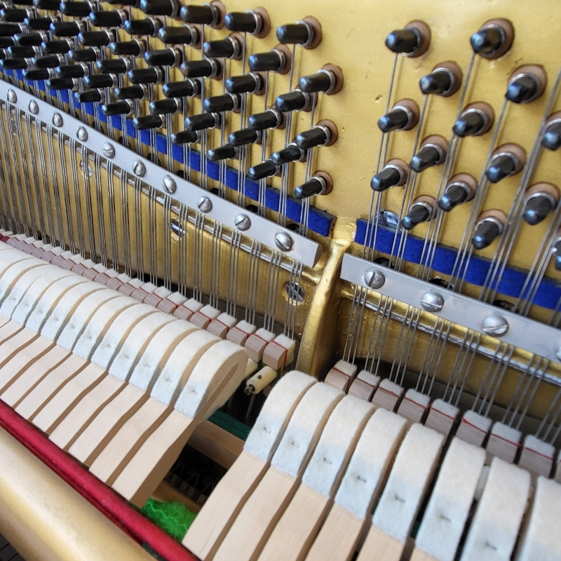 Piano Detail Photo 6