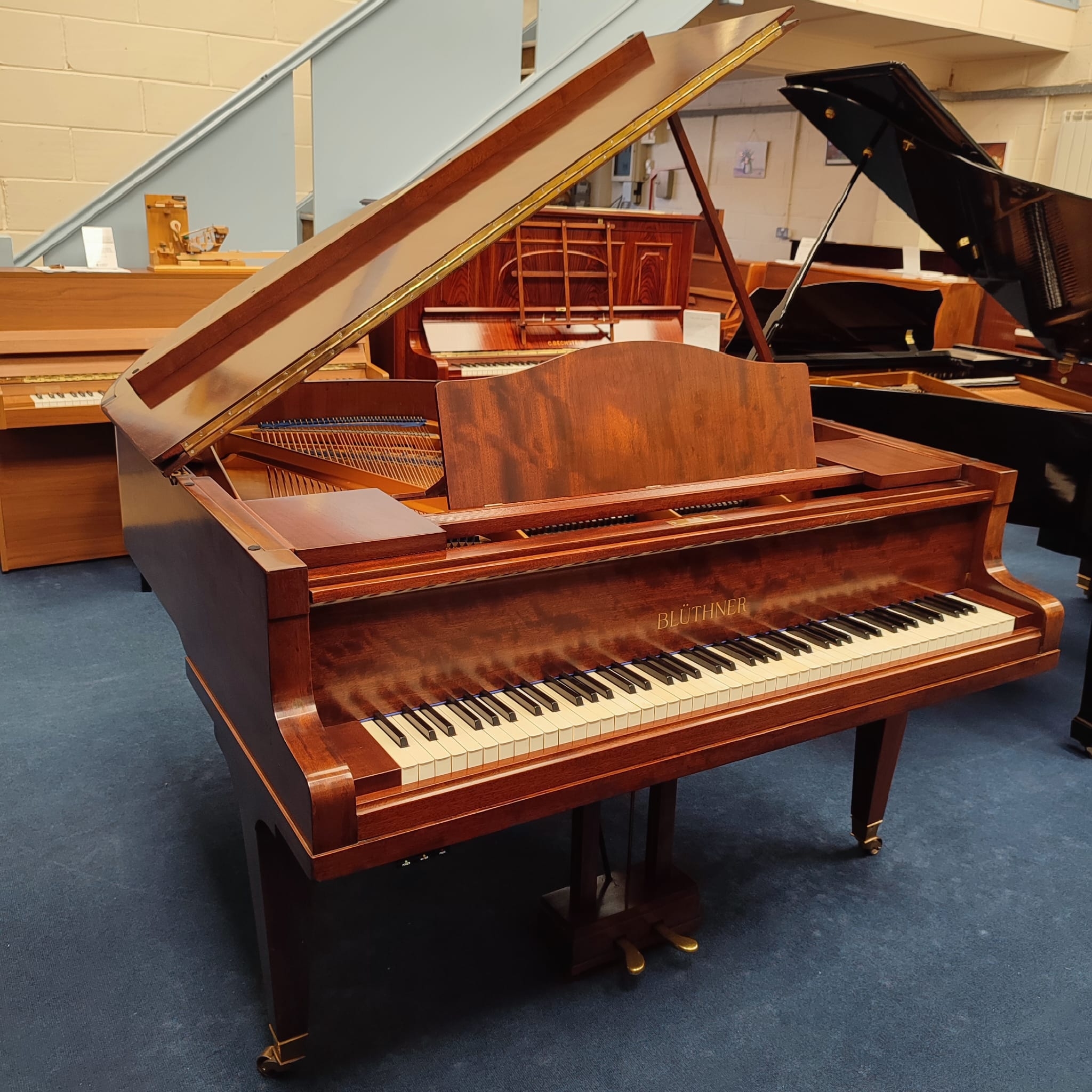 Main Piano Image